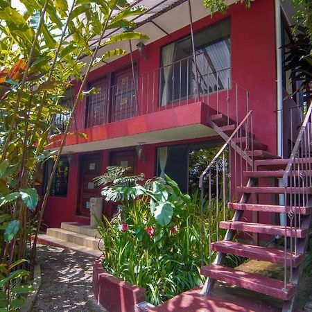La Boruca Bed & Breakfast San Isidro  Ngoại thất bức ảnh