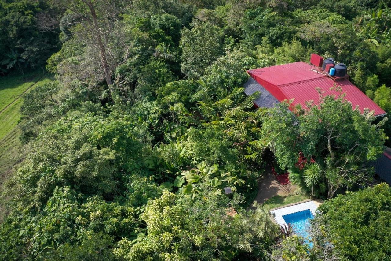 La Boruca Bed & Breakfast San Isidro  Ngoại thất bức ảnh