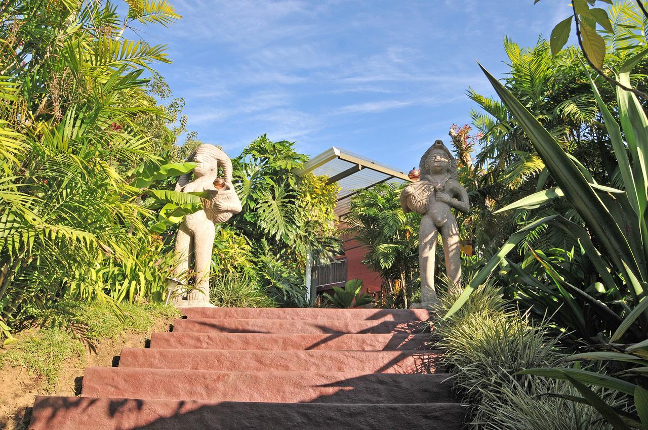 La Boruca Bed & Breakfast San Isidro  Ngoại thất bức ảnh