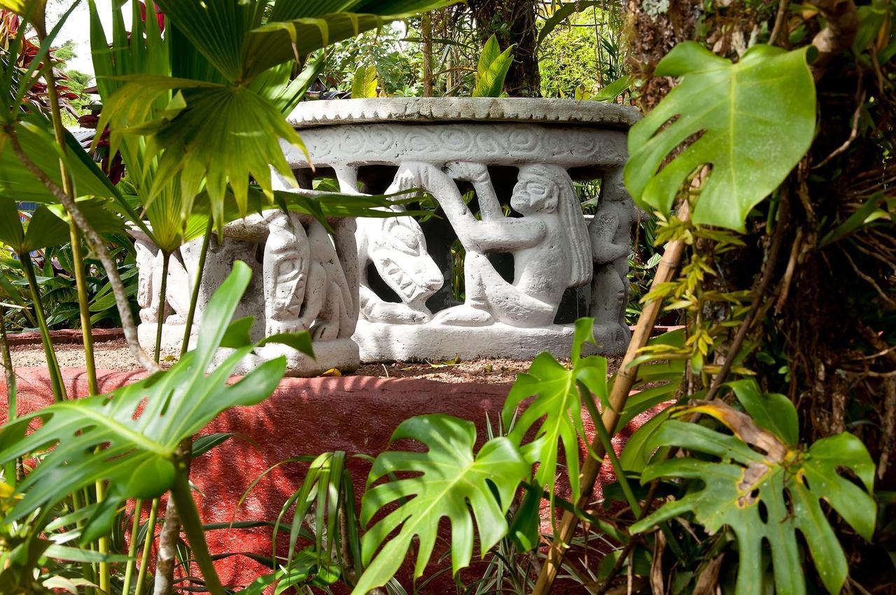 La Boruca Bed & Breakfast San Isidro  Ngoại thất bức ảnh