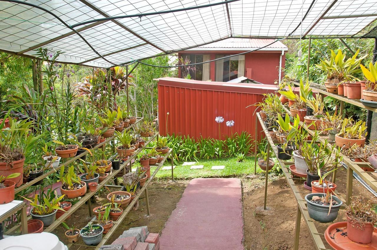 La Boruca Bed & Breakfast San Isidro  Ngoại thất bức ảnh