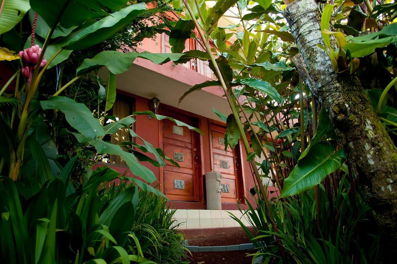 La Boruca Bed & Breakfast San Isidro  Ngoại thất bức ảnh
