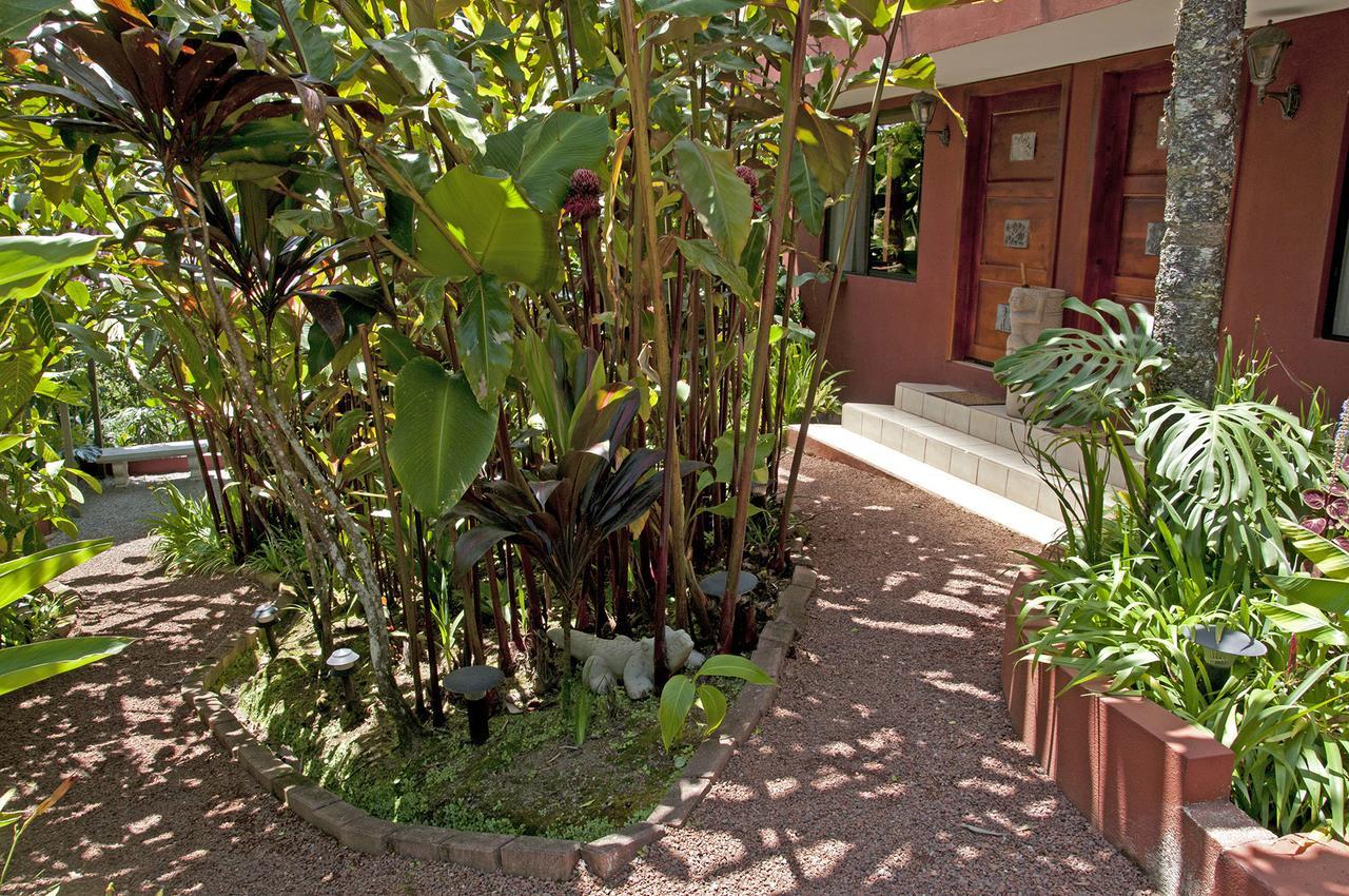 La Boruca Bed & Breakfast San Isidro  Ngoại thất bức ảnh
